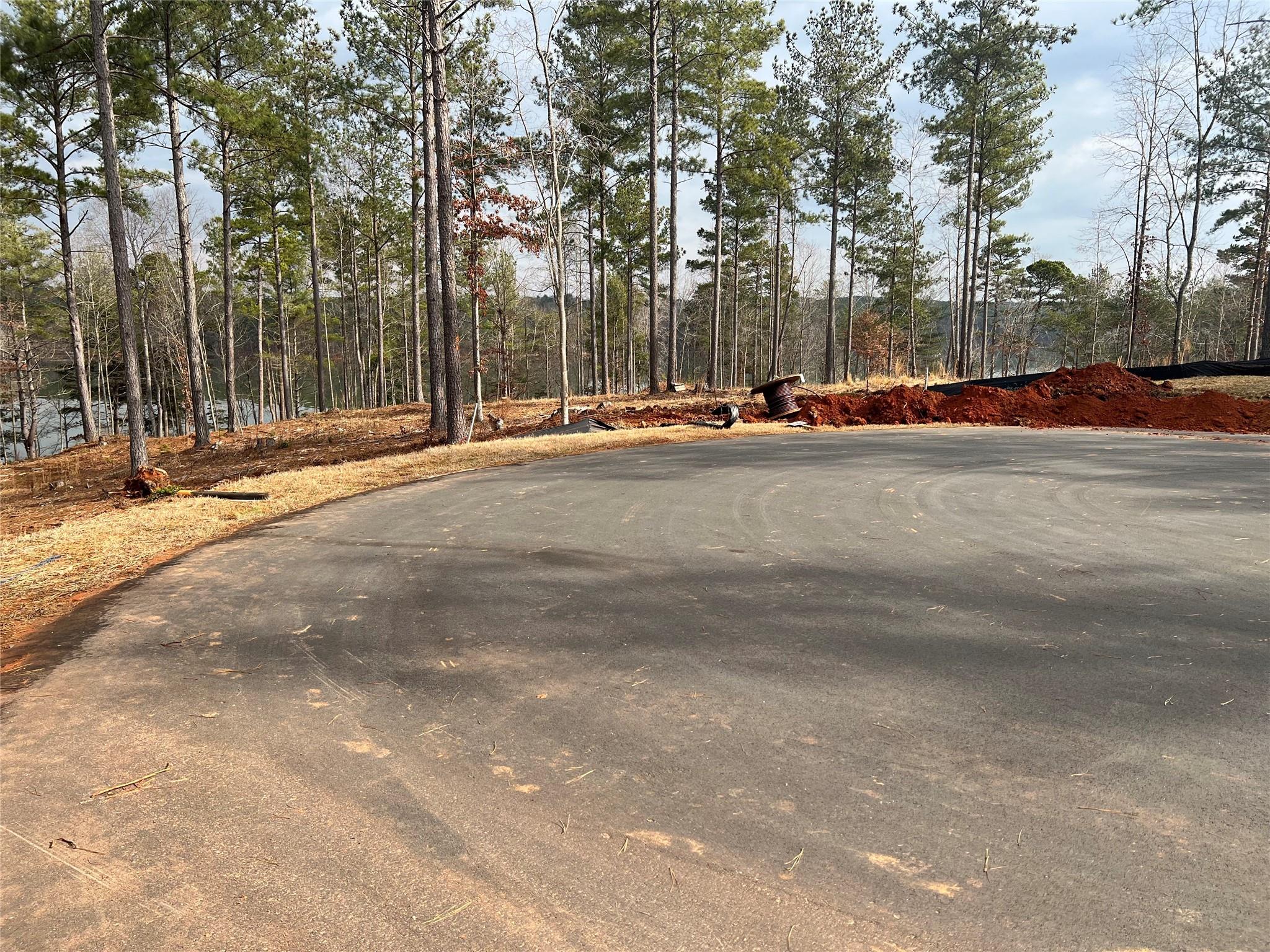 Lot 161 Decker Road Connelly Springs, NC 28612 - Photo 6 of 11 Gallery Image 6