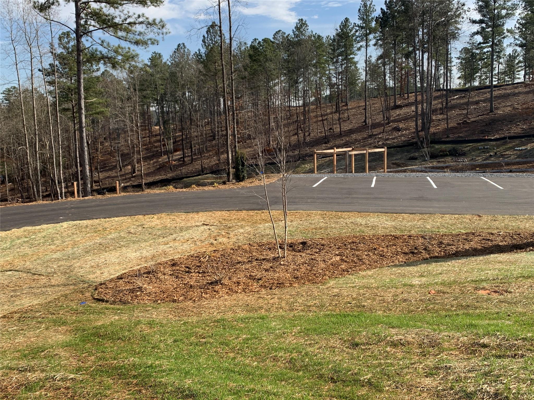 Lot 161 Decker Road Connelly Springs, NC 28612 - Photo 7 of 11 Gallery Image 7
