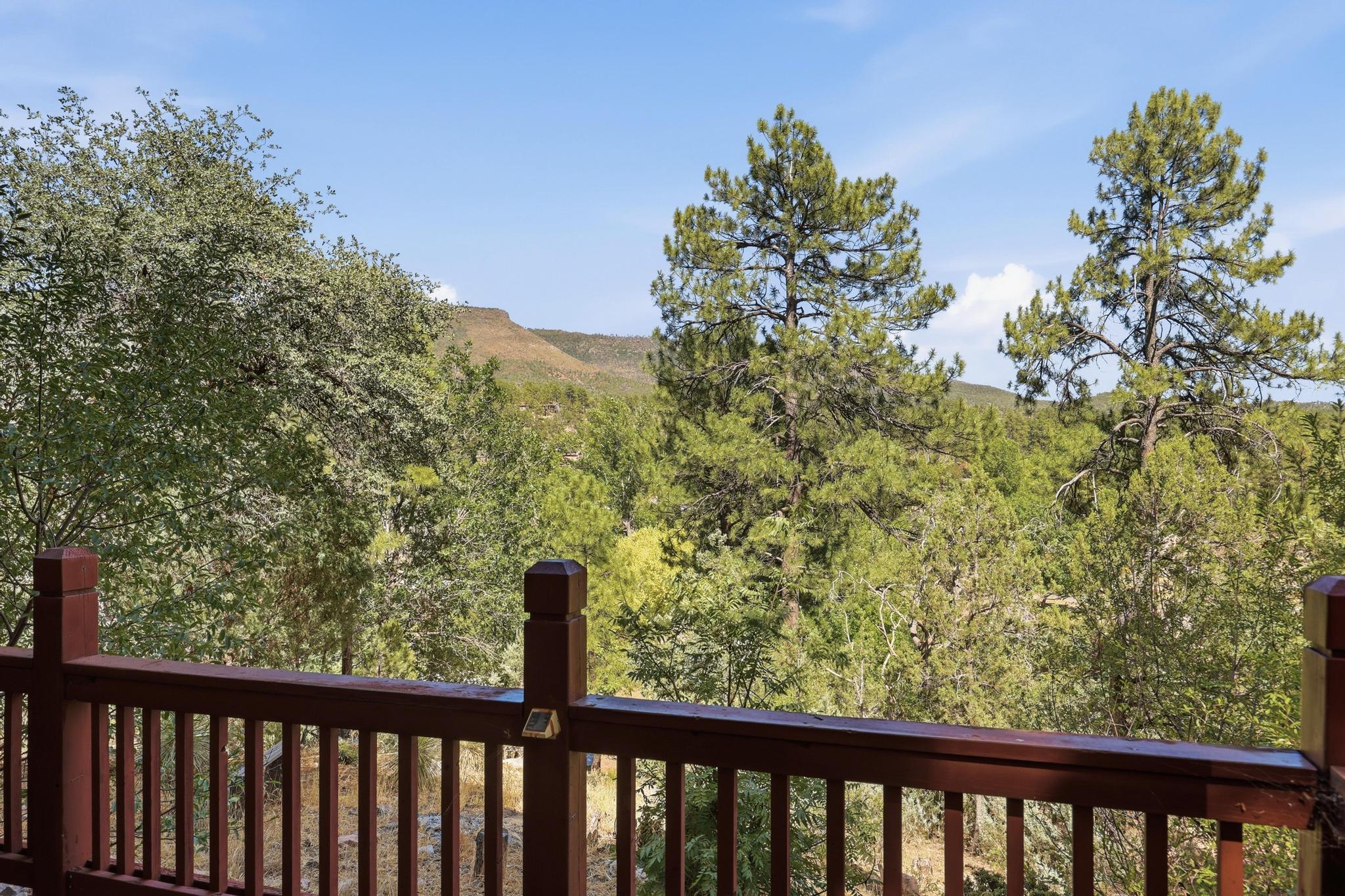 3407 Ridge Trail Pine, AZ 85544 - Photo 40 of 49