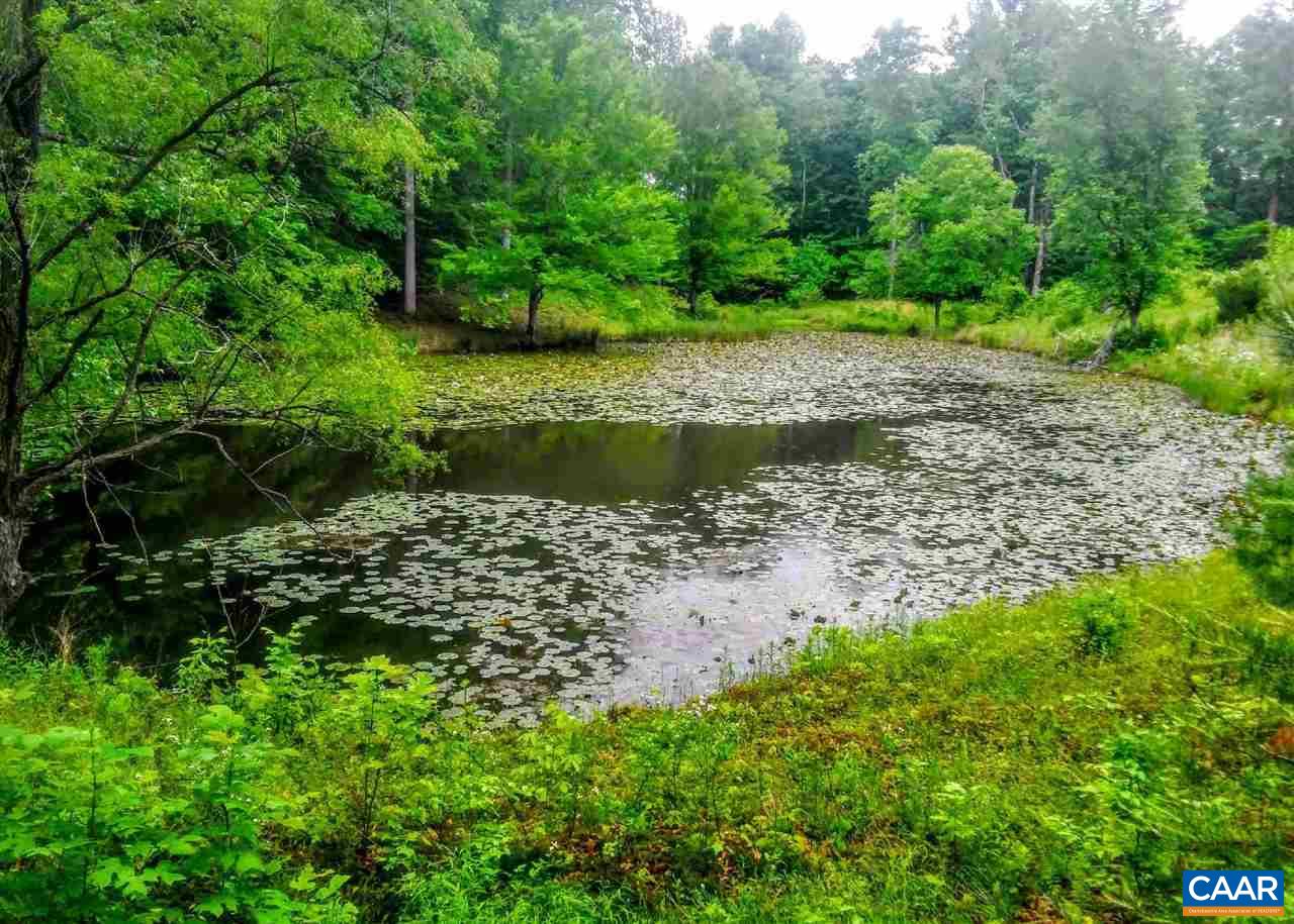 1465 Race Ground Road Rochelle, VA 22738 - Photo 7 of 9 a view of a lake with a yard