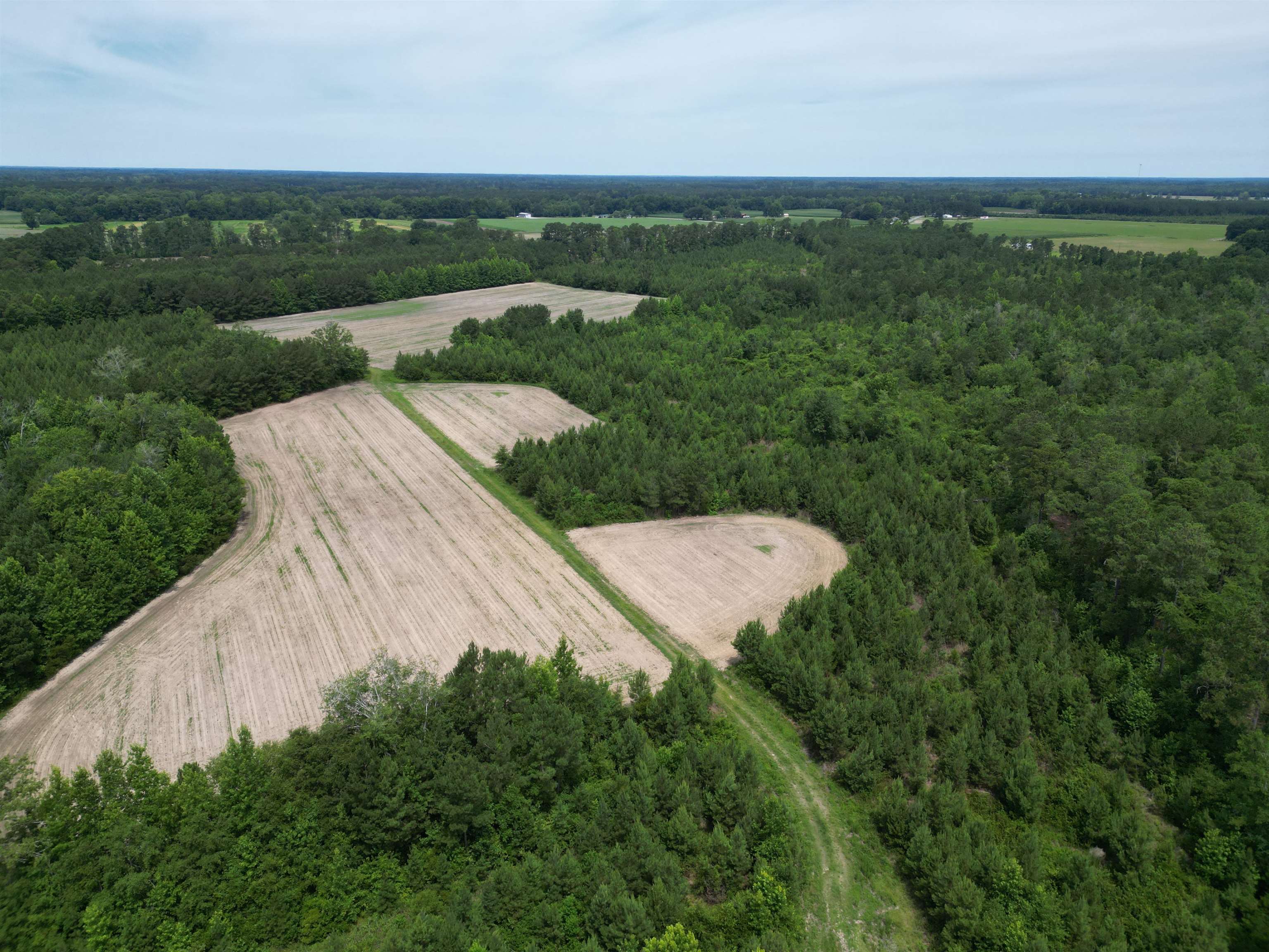 Tbd Church Road Green Sea, SC 29545 - Photo 12 of 19