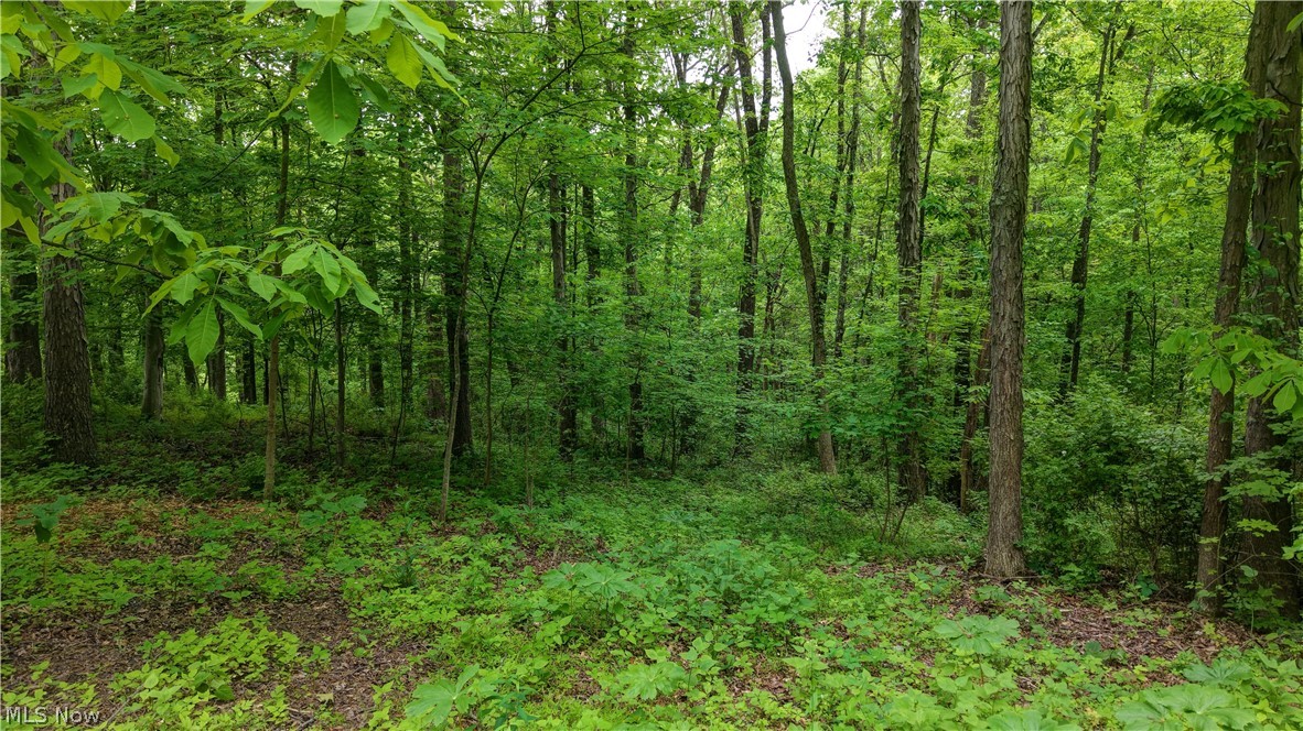 Tatman Road Uhrichsville, OH 44683 - Photo 4 of 11