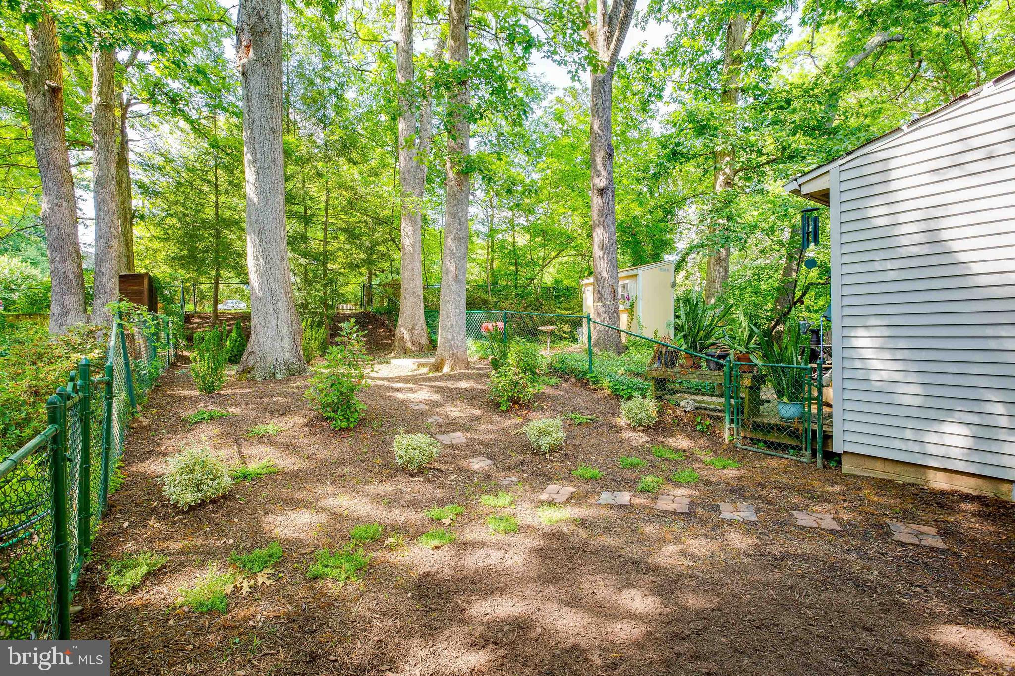 2 K Research Road Greenbelt, MD 20770 - Photo 18 of 20 Beautiful private outdoor space