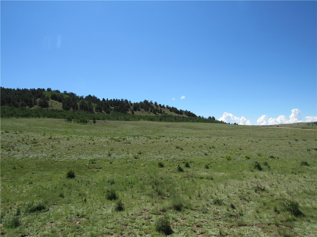 12950 Elkhorn Road Como, CO 80432 - Photo 28 of 30 Gallery Image 28