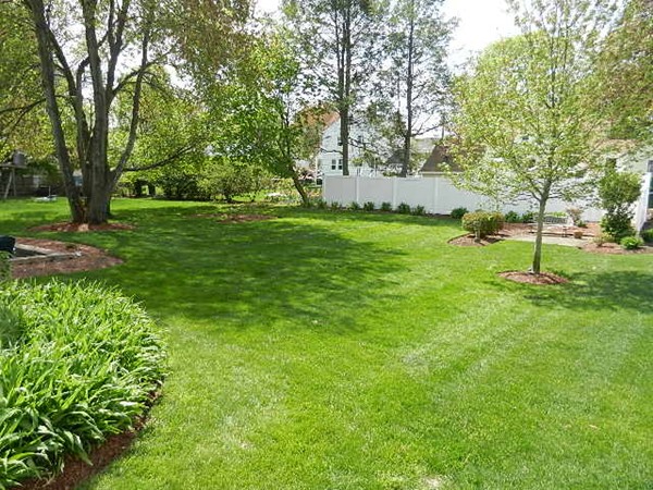 15 Marlton Road Waltham, MA 02453 - Photo 8 of 27 Gallery Image 8
