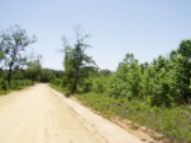 0 Patterson Road Waynesboro, GA 30830 - Photo 1 of 1 Main View