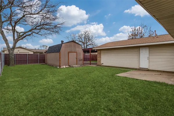 a view of a backyard with plants and large tree