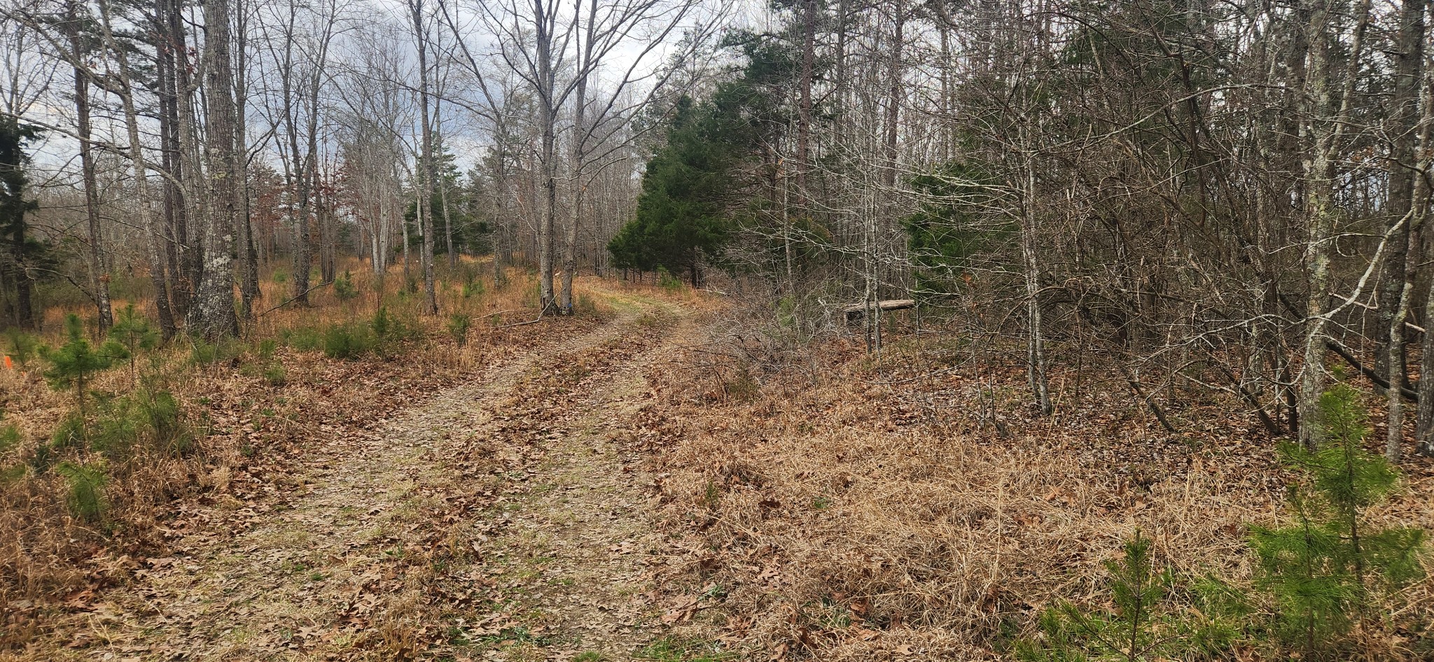0 Nine Mile Ridge Duck River, TN 38454 - Photo 1 of 8 Gallery Image 1
