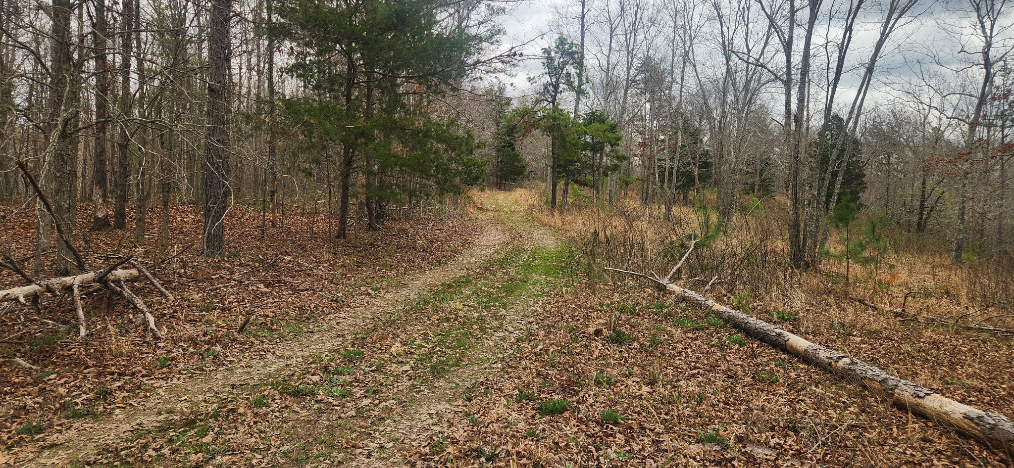 0 Nine Mile Ridge Duck River, TN 38454 - Photo 2 of 8 Gallery Image 2