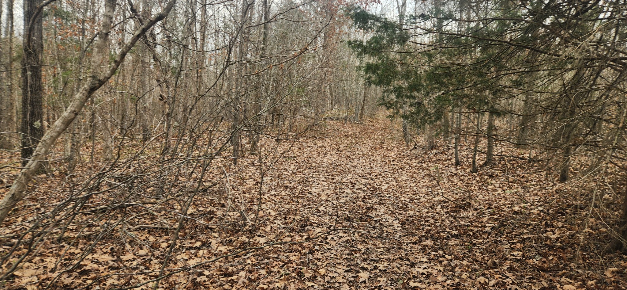 0 Nine Mile Ridge Duck River, TN 38454 - Photo 6 of 8 Gallery Image 6