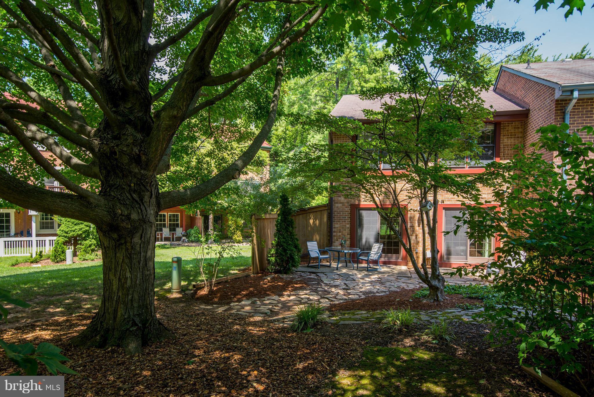 2100 Golf Course Drive Reston, VA 20191 - Photo 24 of 30 a view of a yard with plants and a large tree