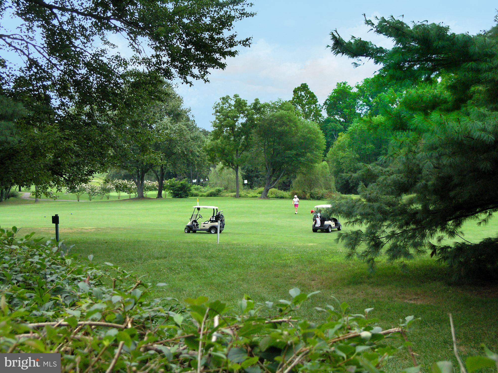 2100 Golf Course Drive Reston, VA 20191 - Photo 26 of 30 a view of a park with large trees