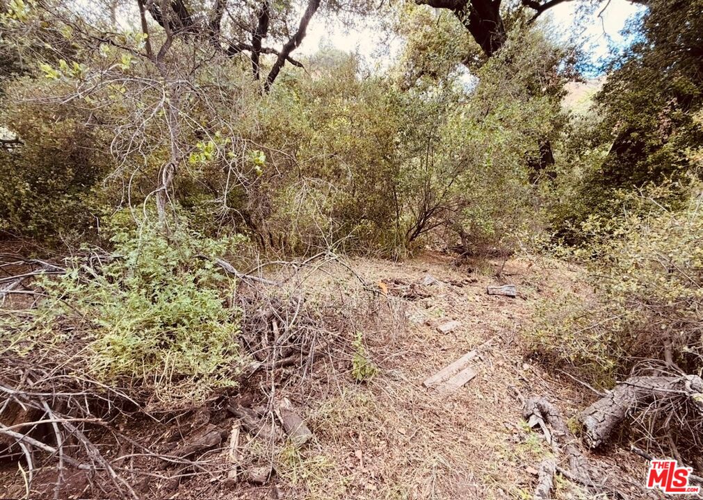 0 Red Rock Road Topanga, CA 90290 - Photo 53 of 53 a view of a yard with a tree