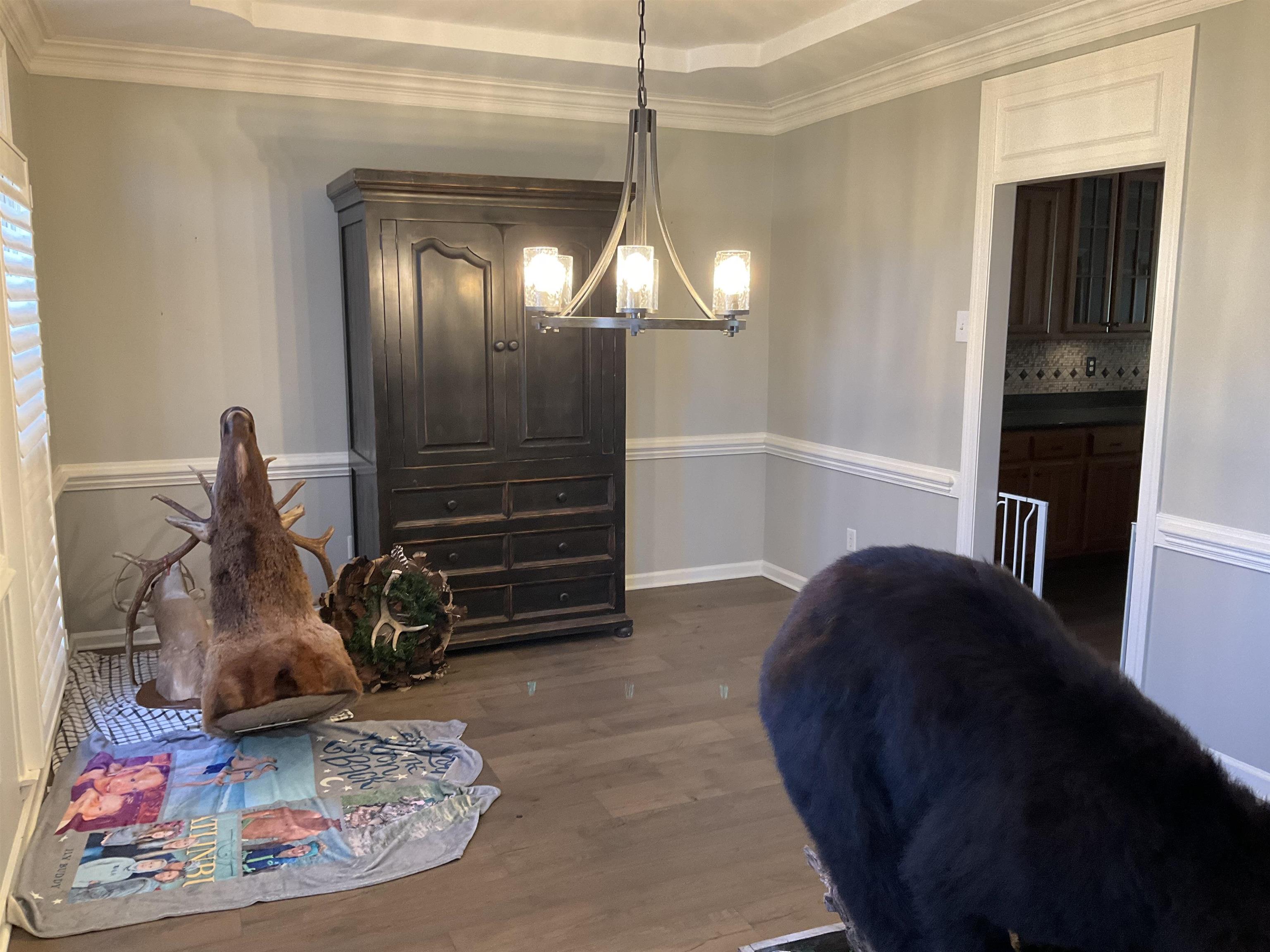 911 Hatton Street Collierville, TN 38017 - Photo 4 of 18