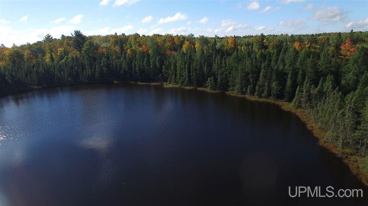 Bed Spring Lake Bed Spring Lake Republic, MI 49879 - Photo 12 of 36