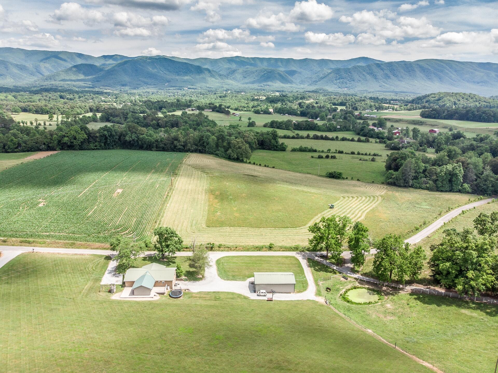 315 Bill Shaw Road Afton, TN 37616 - Photo 3 of 70 315BillShawA_084