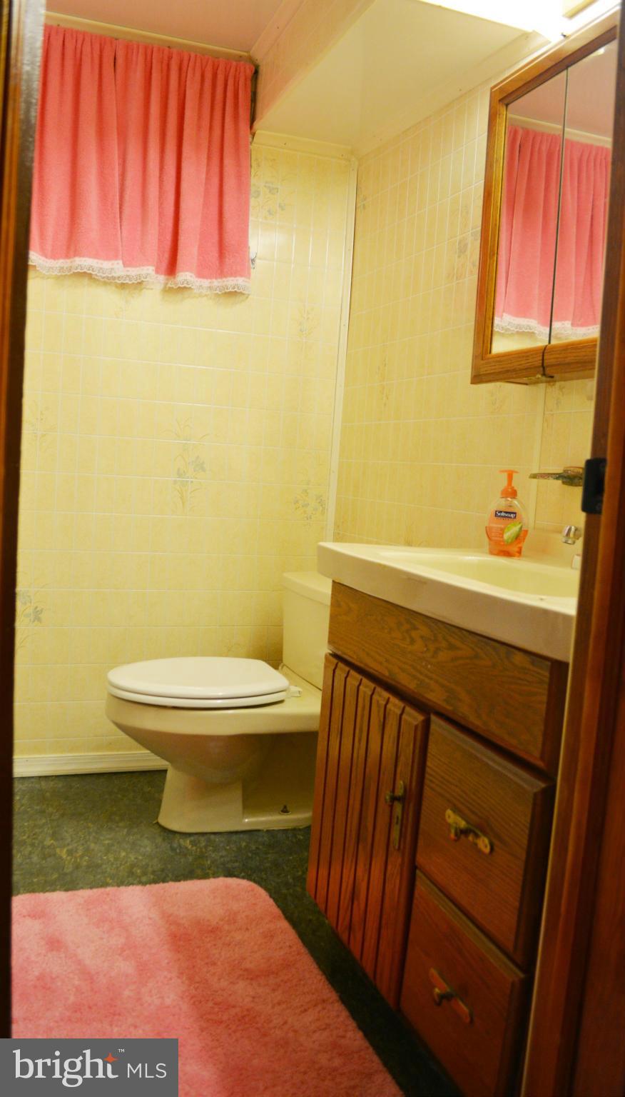 2117 Rolander Street Hyattsville, MD 20783 - Photo 22 of 30 a bathroom with a sink and a toilet