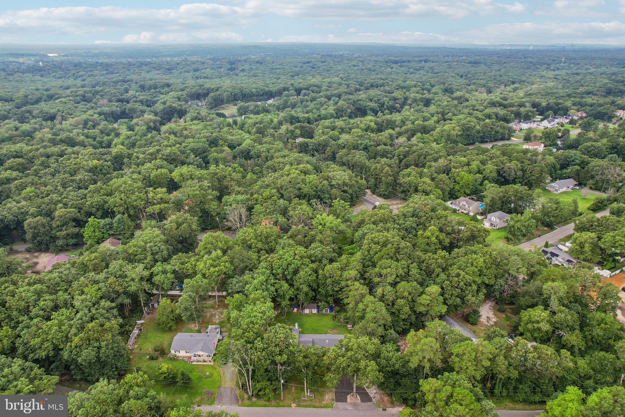 441 East Bird Village Road Jackson, NJ 08527 - Photo 19 of 28 Gallery Image 19