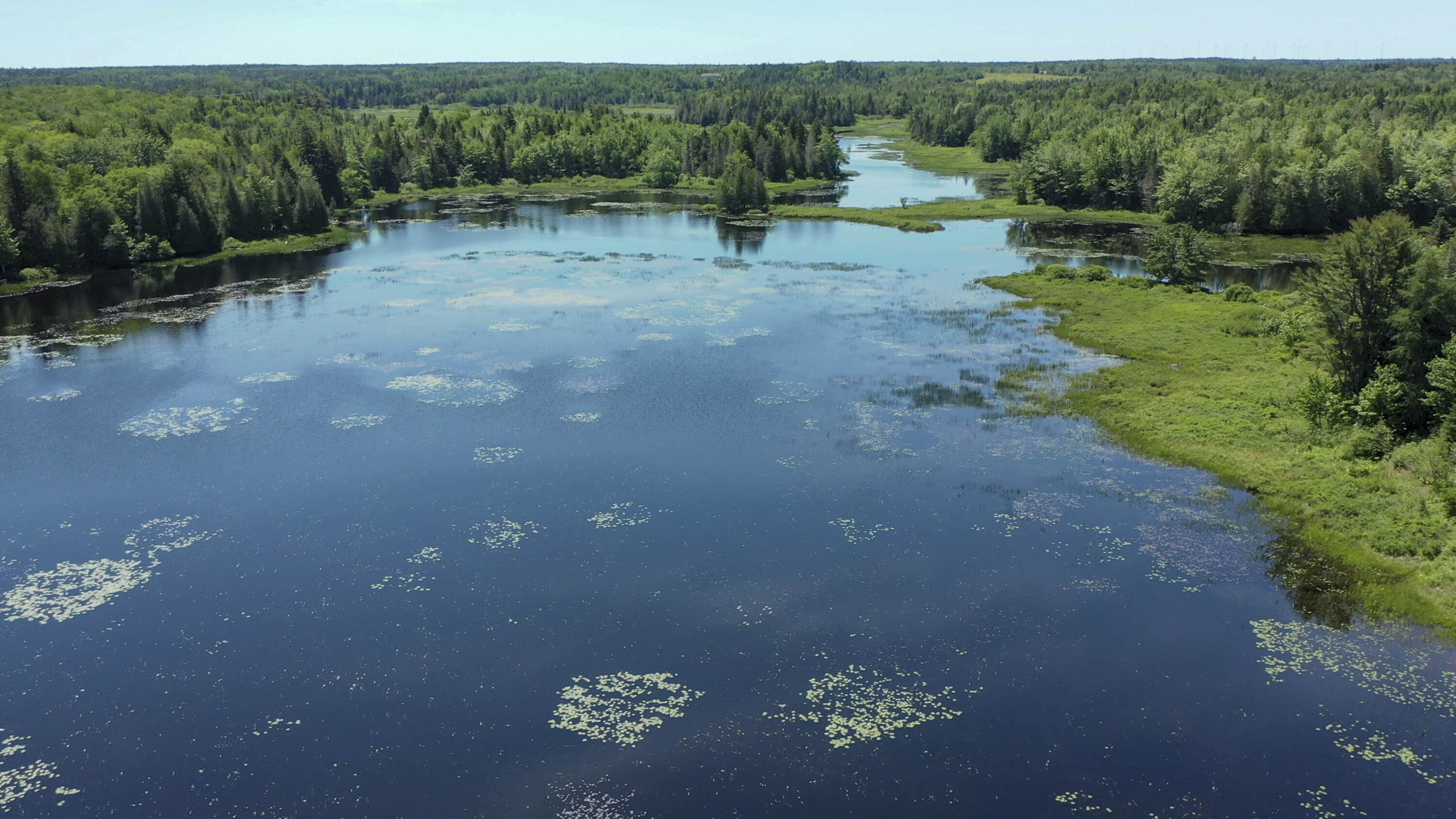 M7-l36 Dodge Road Whiting, ME 04691 - Photo 2 of 8 1