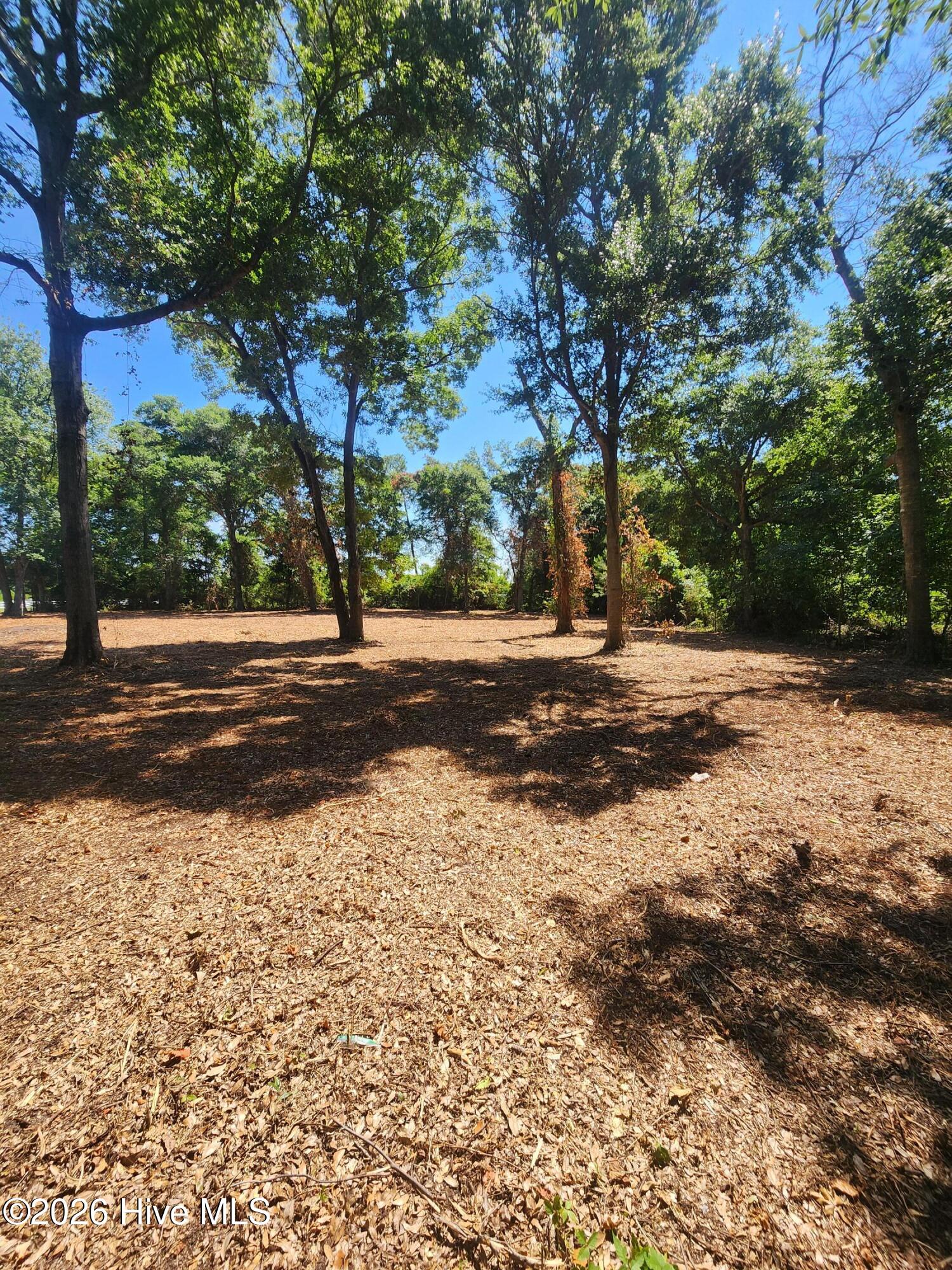 102 Deer Run Hubert, NC 28539 - Photo 11 of 12