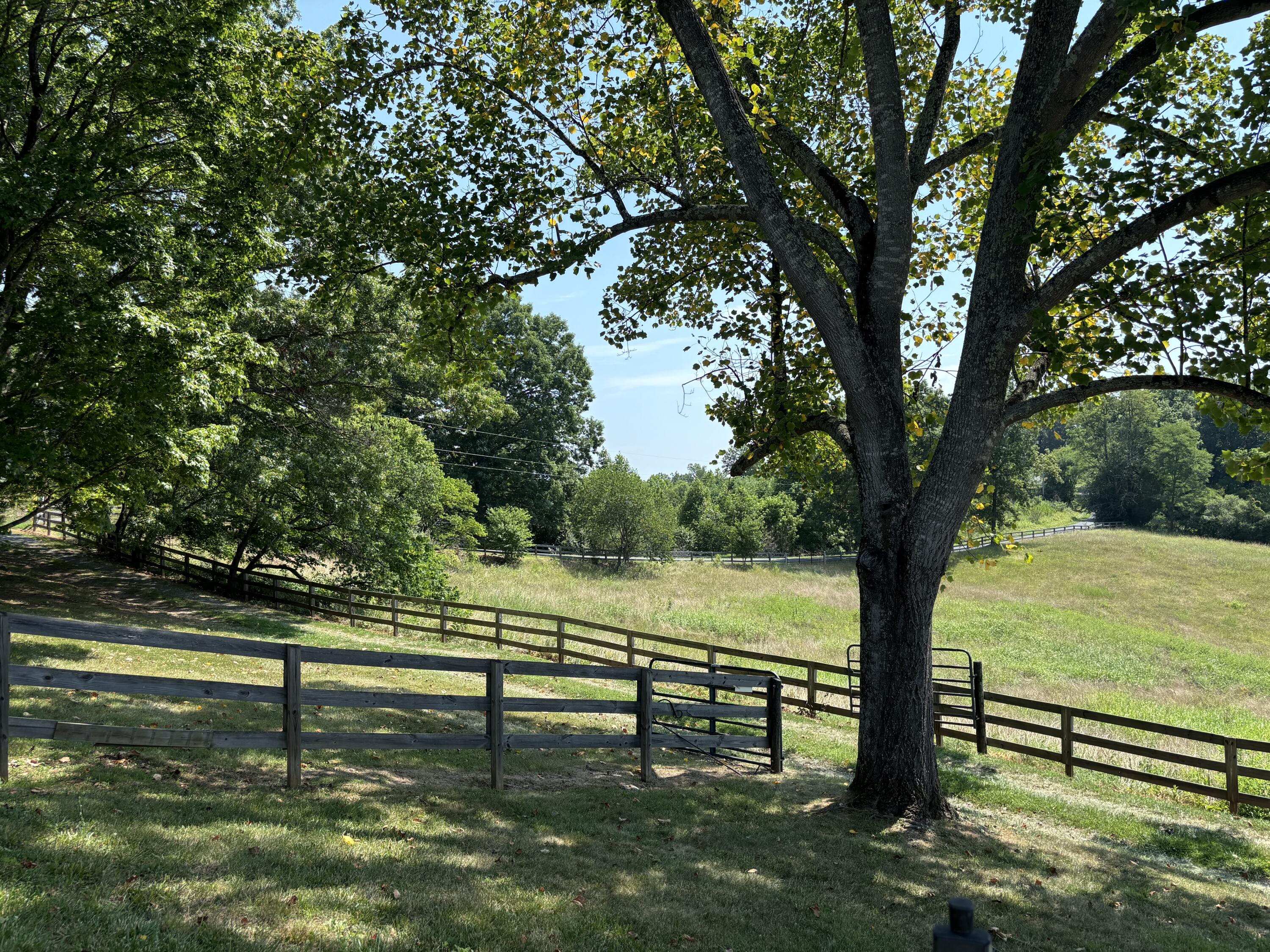 1365 Oak Ridge Road Buchanan, VA 24066 - Photo 13 of 25 IMG_3227