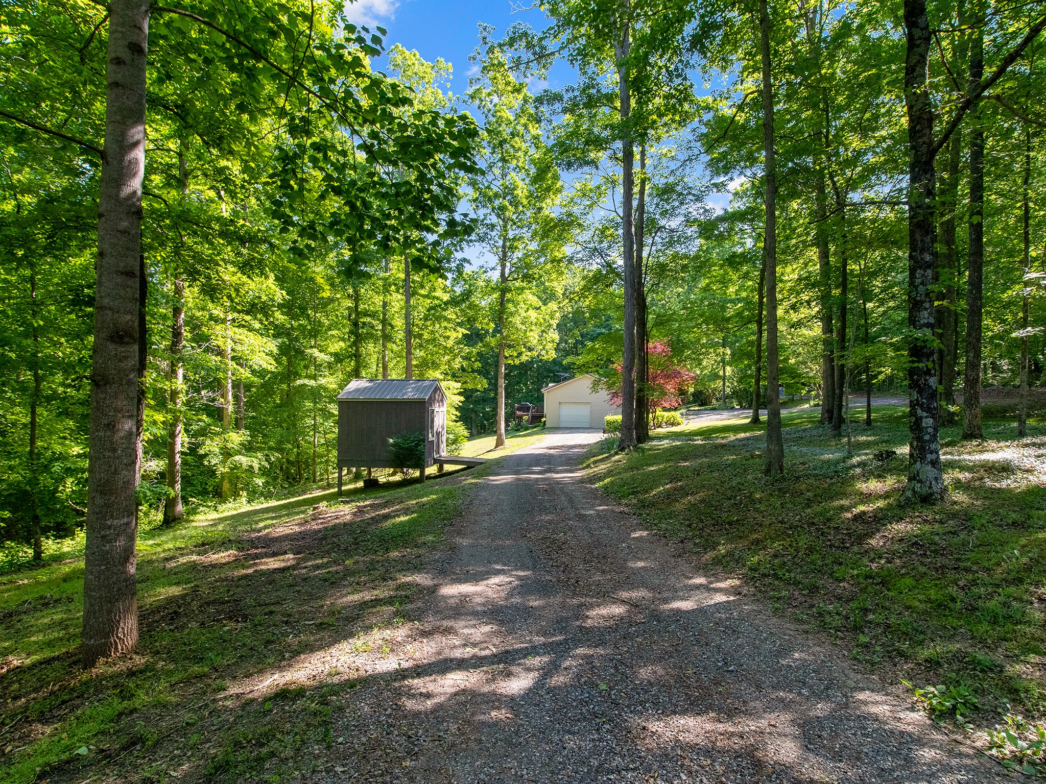 1165 Timber Ridge Road Charlotte, TN 37036 - Photo 14 of 42 Gallery Image 14