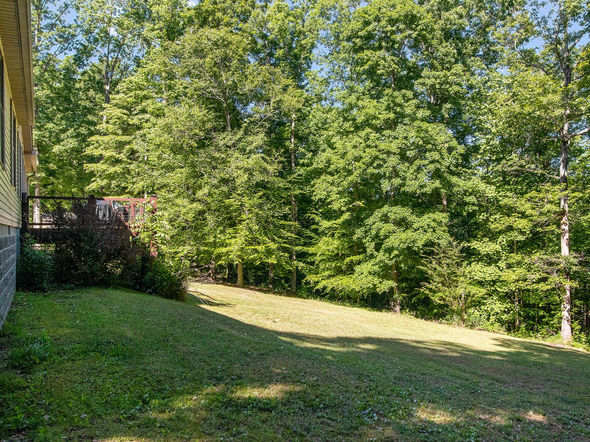 1165 Timber Ridge Road Charlotte, TN 37036 - Photo 5 of 42 Gallery Image 5