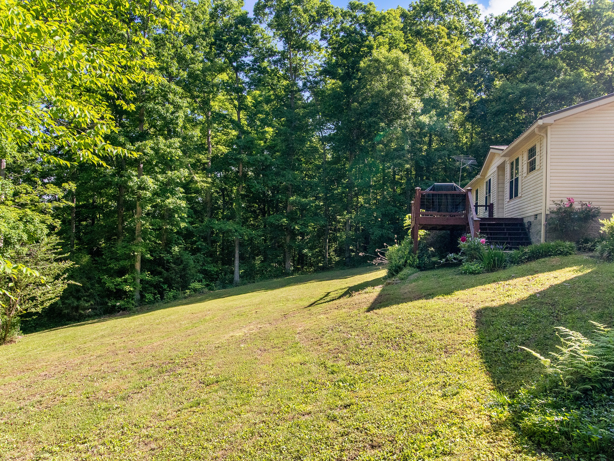 1165 Timber Ridge Road Charlotte, TN 37036 - Photo 8 of 42 Gallery Image 8