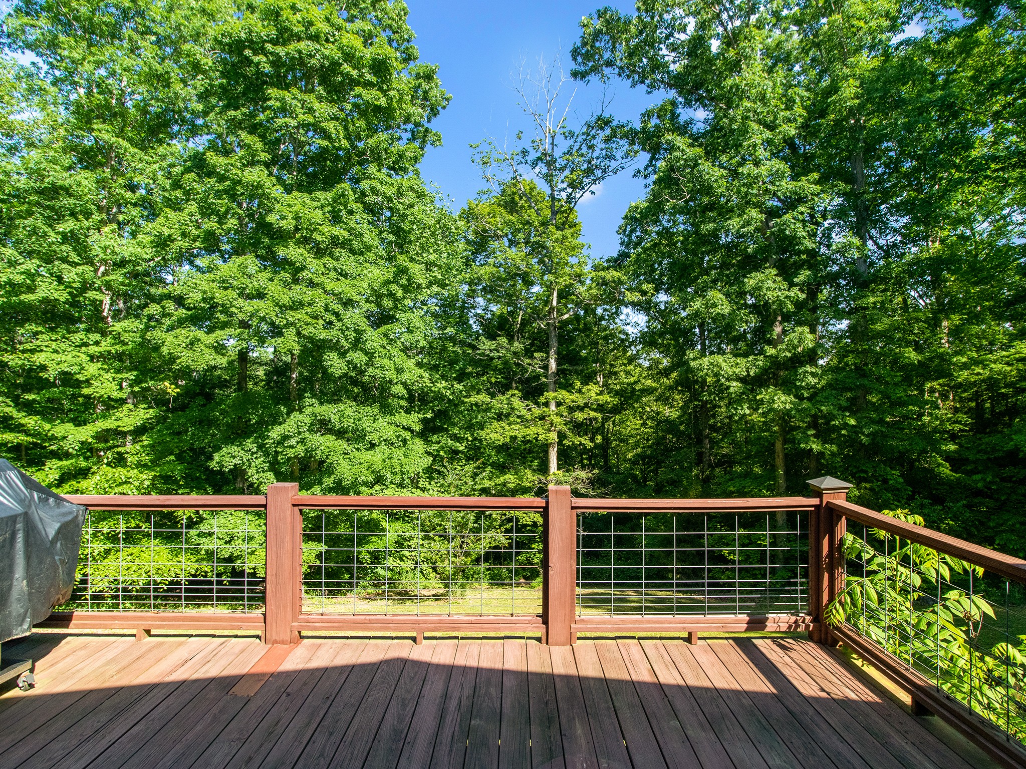 1165 Timber Ridge Road Charlotte, TN 37036 - Photo 10 of 42 Gallery Image 10