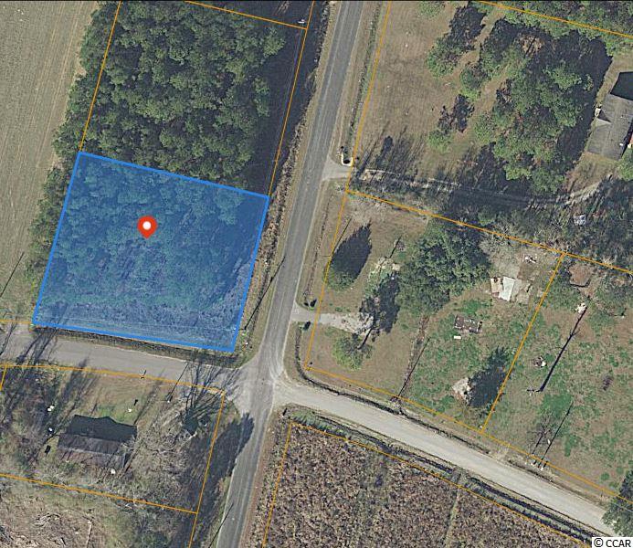 Tbd Tbd Hagan Rd Green Green Sea, SC 29545 - Photo 1 of 2 Gallery Image 1