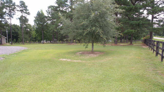 1625 Highway 31 Atmore, AL 36502 - Photo 2 of 45 Expansive Front Yard