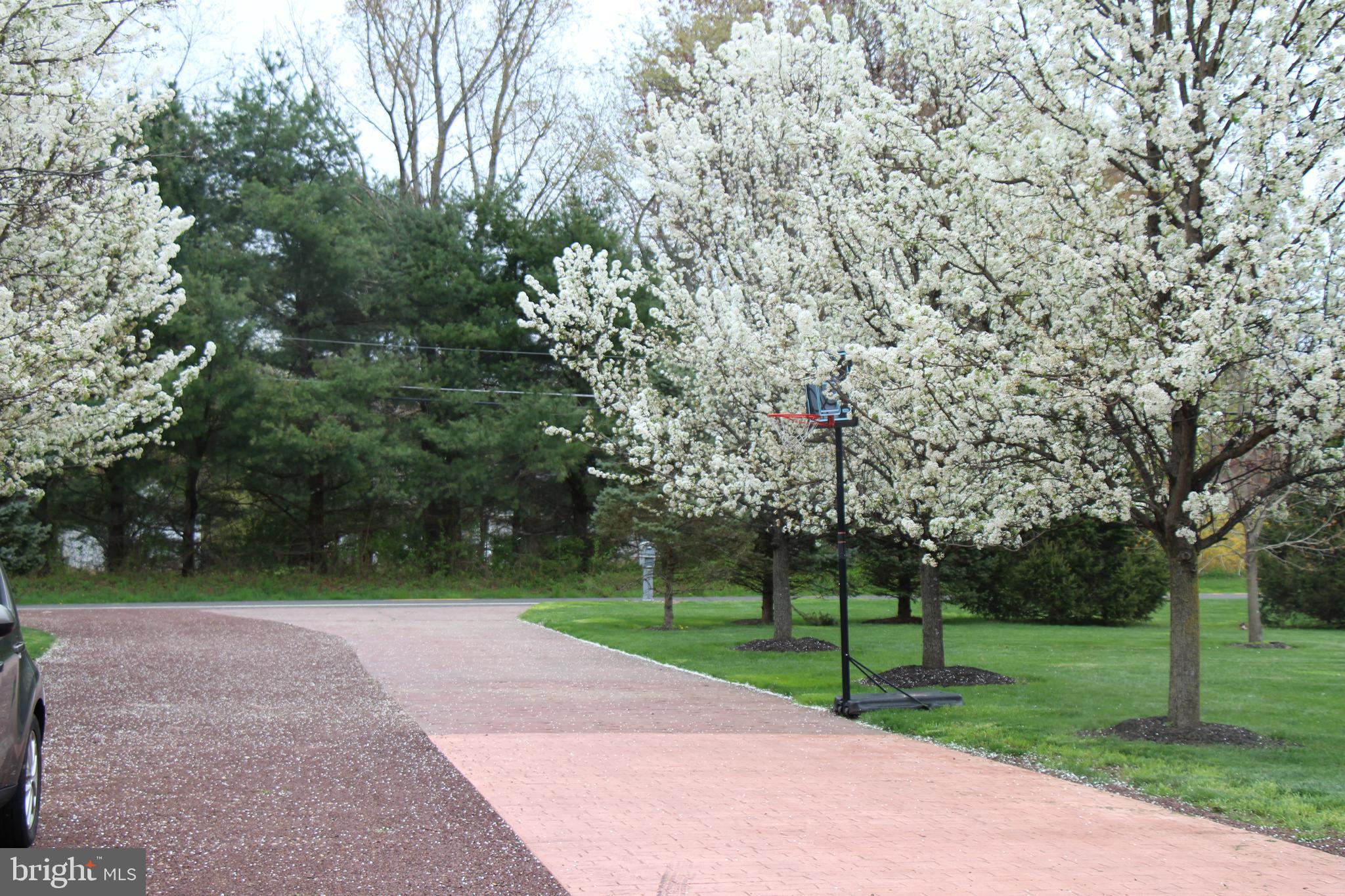 Driveway view