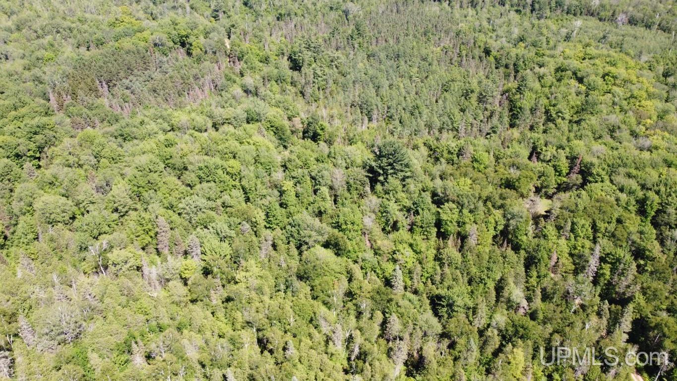 Tbd Tbd Stack Grade Little Lake Rock, MI 49880 - Photo 32 of 45
