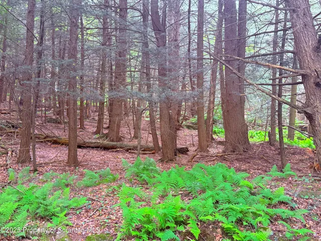 a view of a pathway with a house in the background
