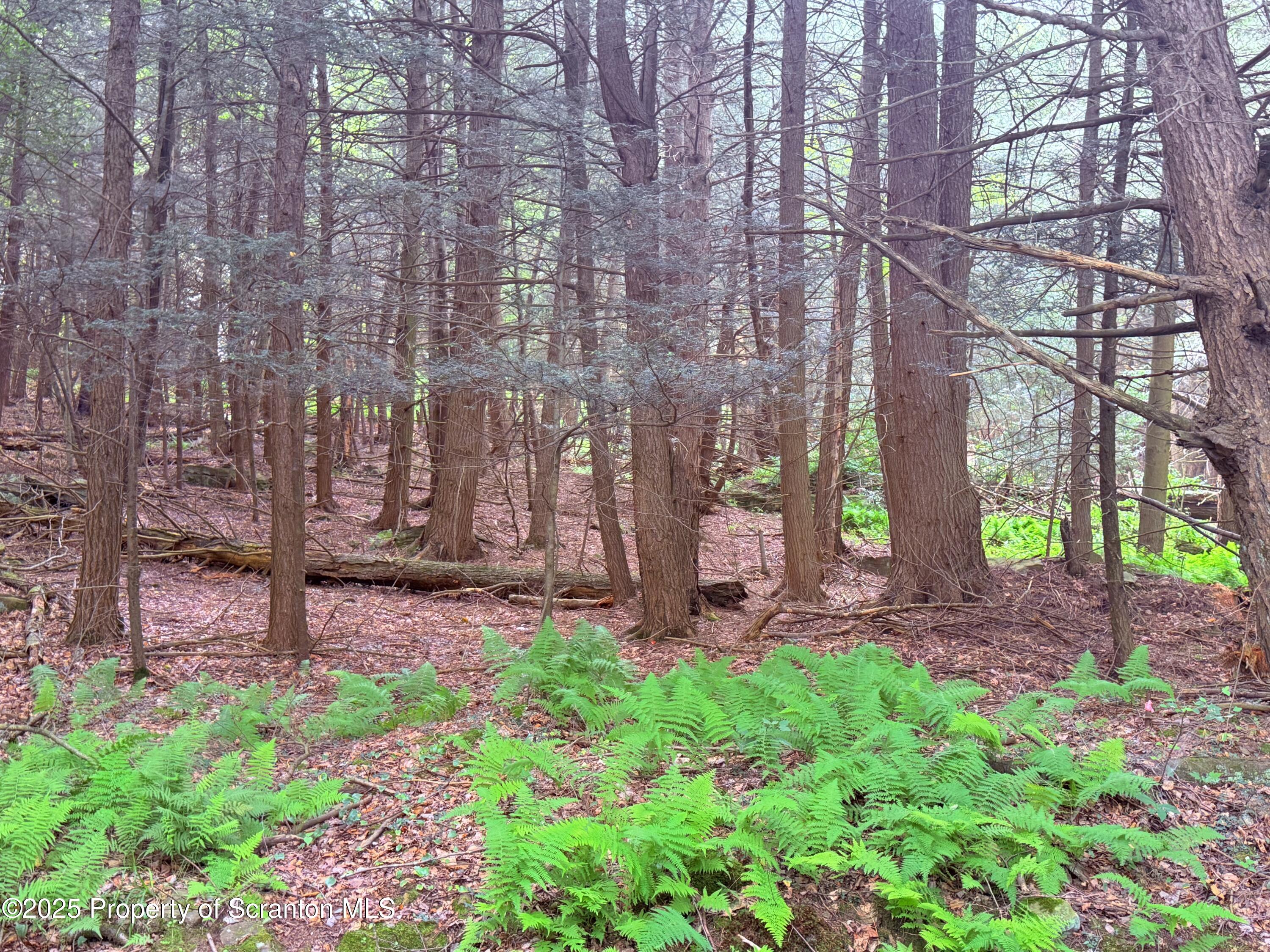 a view of a pathway with a house in the background