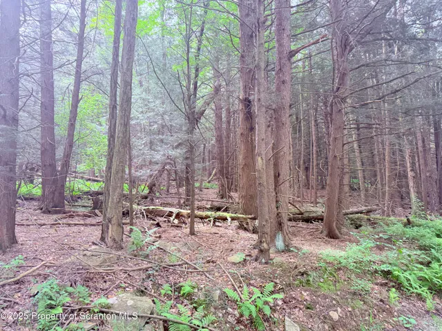 a backyard of a house with chairs and table