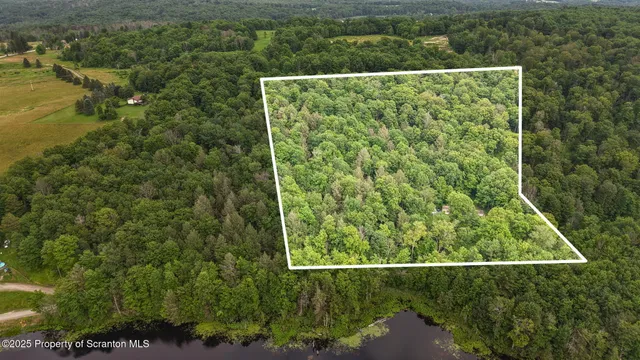 a view of a large yard with lots of green space
