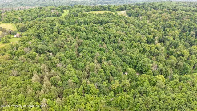 a view of a pathway with a yard
