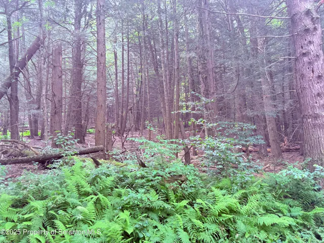 $28,000 | Campsite Road, Thompson, PA 18465