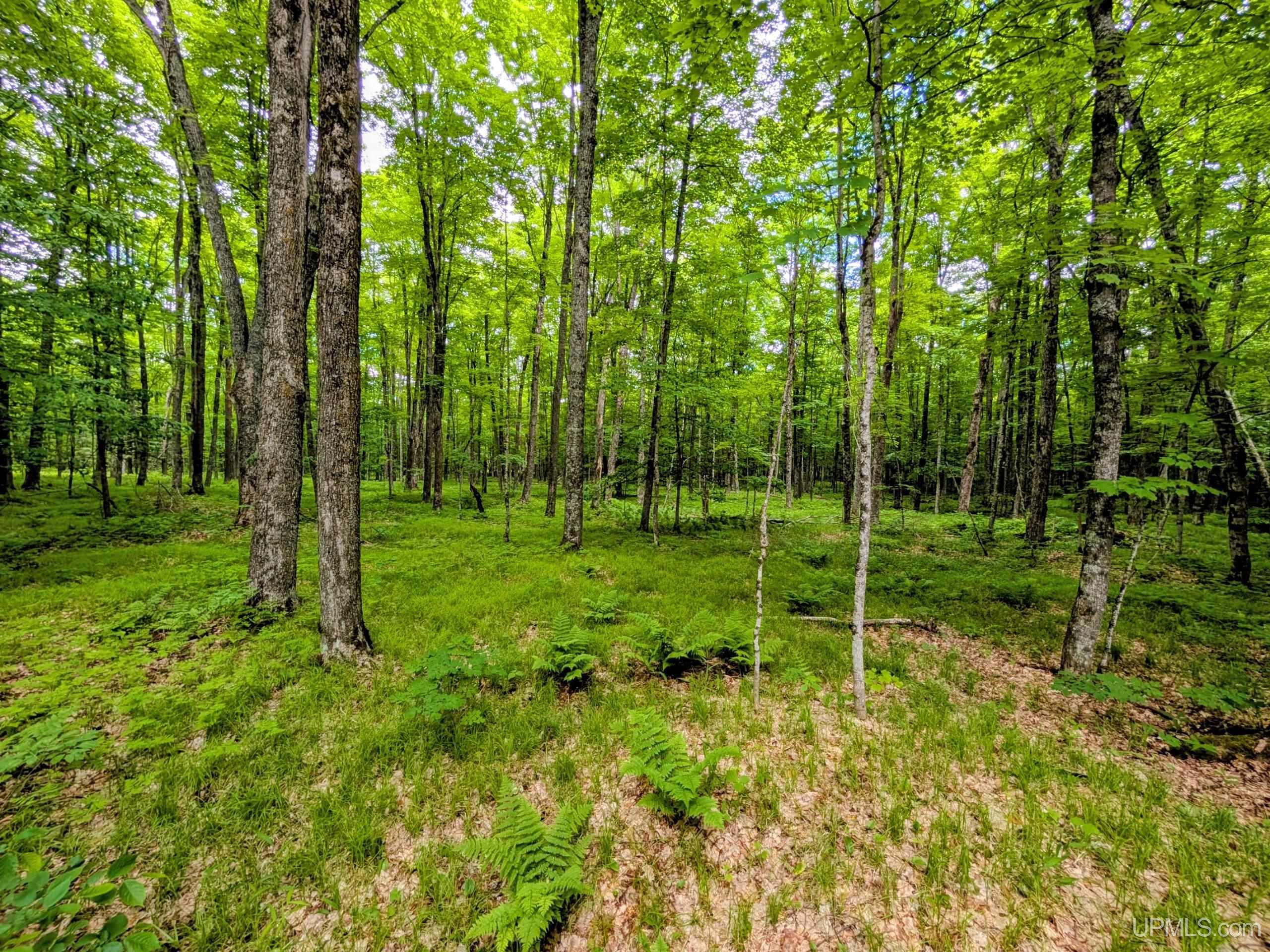 104 Forsberg Road Iron River, MI 49935 - Photo 22 of 34