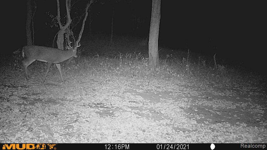 0 5 Lakes Road Metamora, MI 48455 - Photo 9 of 17 Gallery Image 9