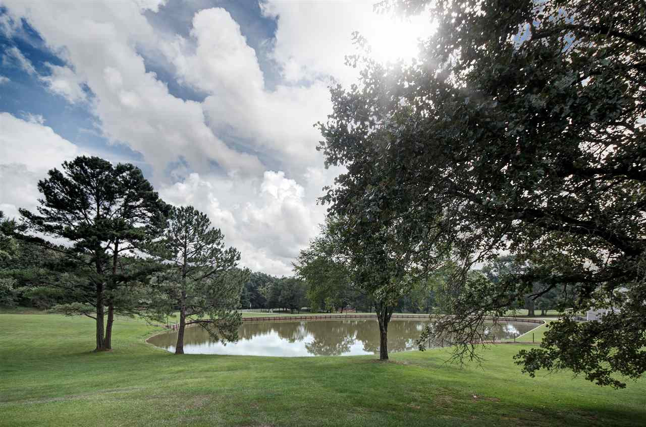 1058 Stigger Road Jackson, MS 39209 - Photo 6 of 45 Photo 6