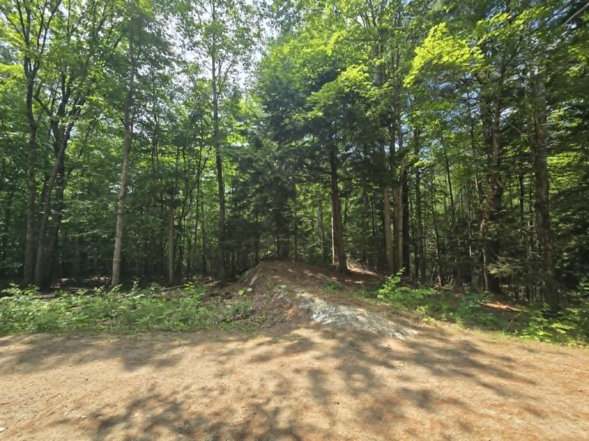 Tbd Dead River Road Litchfield, ME 04350 - Photo 6 of 6 Patten Woods
