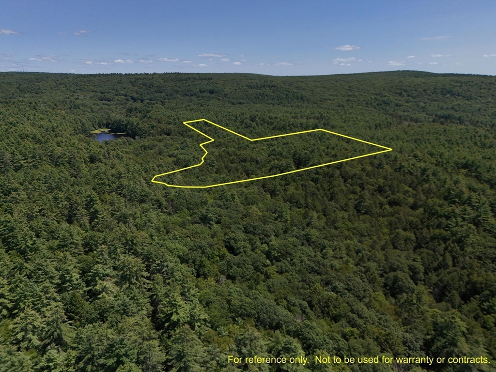 0 Amherst Road Amherst, MA 01002 - Photo 11 of 31 a view of a backyard