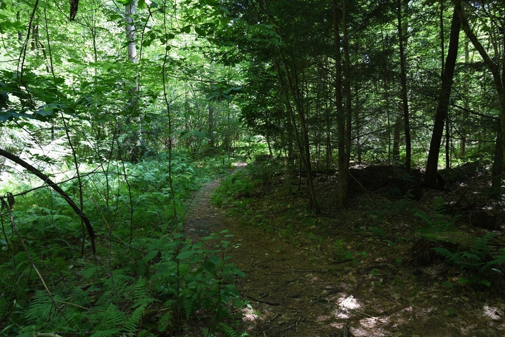 0 Amherst Road Amherst, MA 01002 - Photo 17 of 31