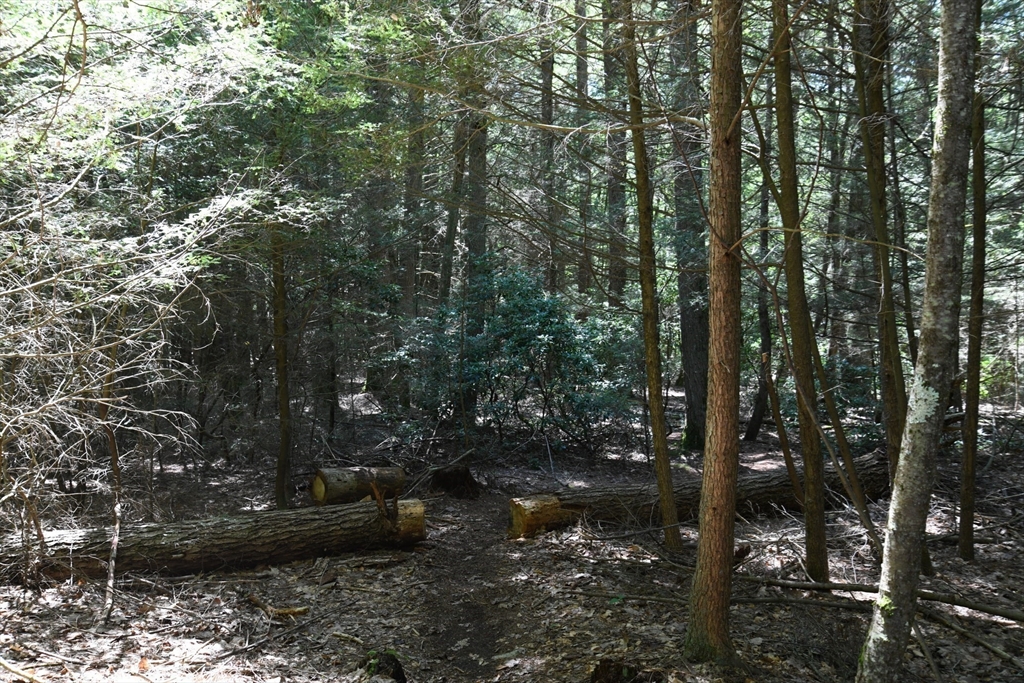 0 Amherst Road Amherst, MA 01002 - Photo 19 of 31