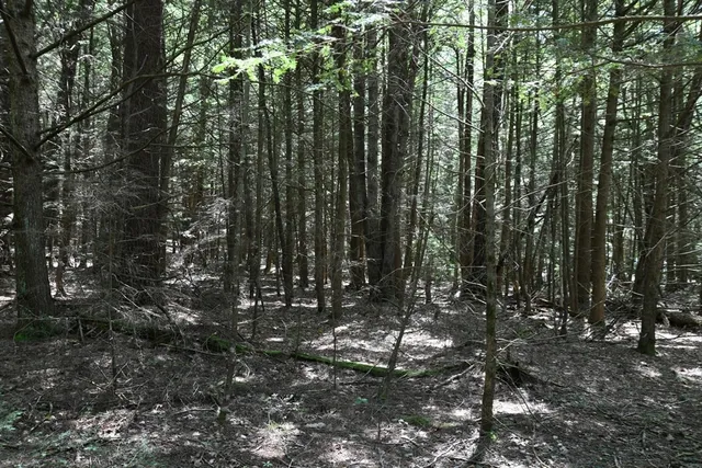 $84,900 | 0 Amherst Road, Amherst, MA 01002