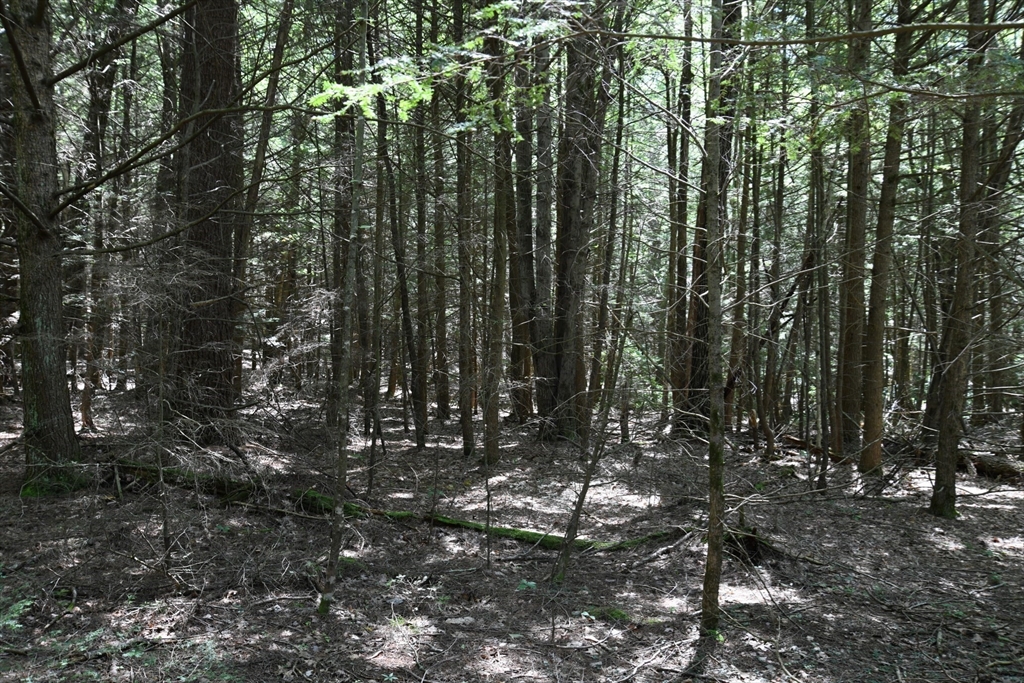 0 Amherst Road Amherst, MA 01002 - Photo 20 of 31