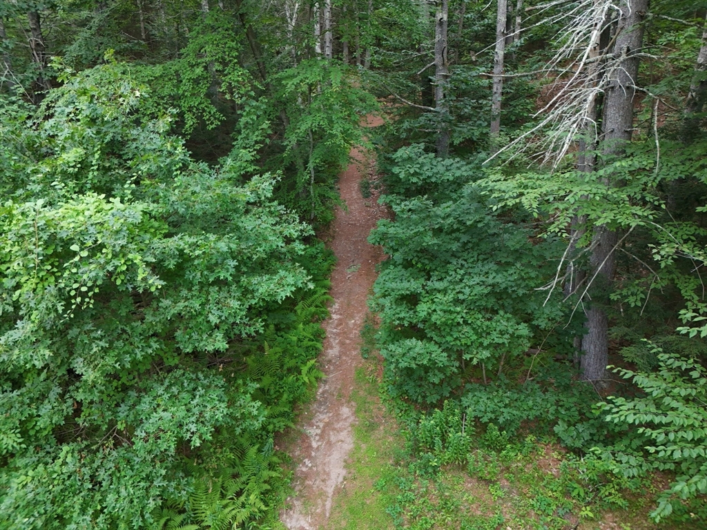 0 Amherst Road Amherst, MA 01002 - Photo 2 of 31 an aerial view of residential house with outdoor space and trees all around