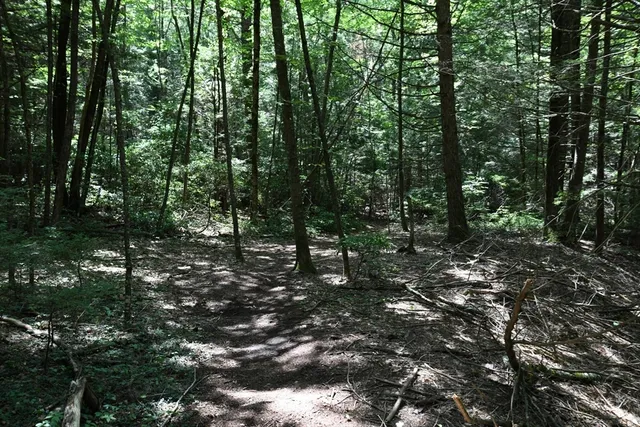 $84,900 | 0 Amherst Road, Amherst, MA 01002